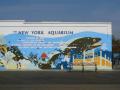  New York 2007  - Brooklyn - Coney Island Brooklyn Coney Island 084